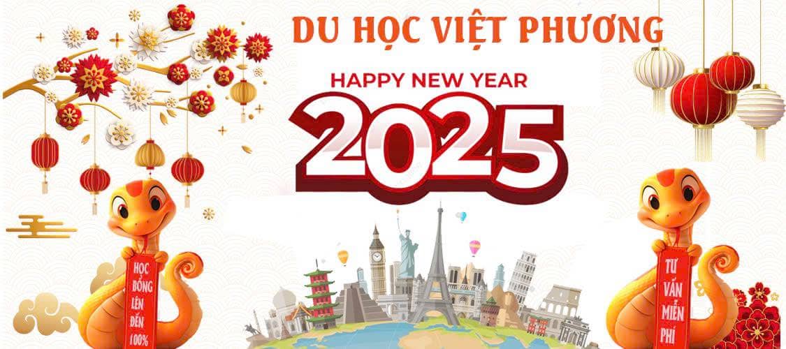 Dự án seo website Dương Thái Sang (1)